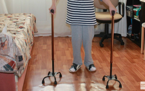 Администрация Петушинского района решила "сэкономить" на ребенке-инвалиде и его семье