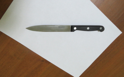 Новости России: молодой мужчина нападал с ножом на прохожих (фото, видео)