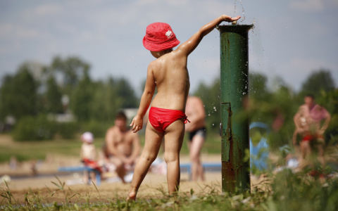 Начало недели во Владимире будет жарким