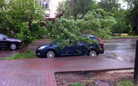 Синоптики ожидают грозу и шквалистый ветер во Владимире в среду и четверг