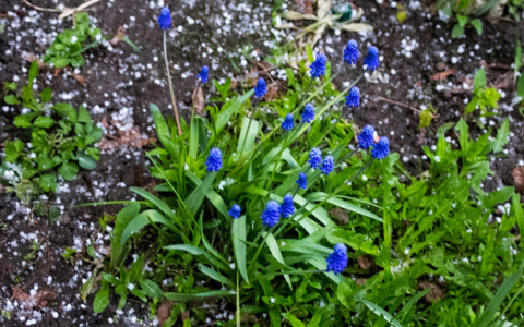 МЧС предупреждает о резком ухудшении погодных условий
