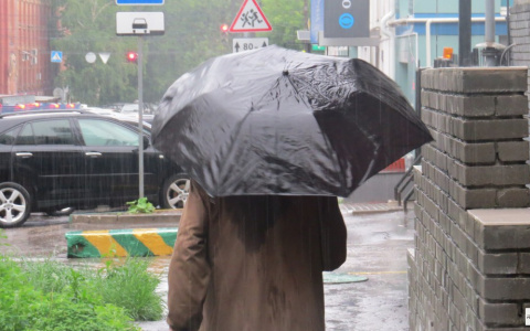 В начале недели во Владимире будет холодно и сыро