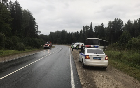 Утром в Судогодском районе произошла авария с участием рейсового автобуса