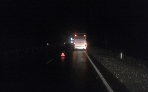 В Вязниковском районе в аварию попал автобус, в котором находятся 45 детей