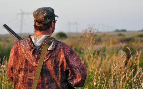 Собинский пенсионер из пневматического ружья выстрелил в голову 10-летнему мальчику