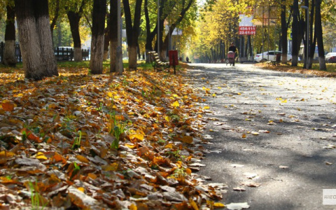 Какая погода ждет владимирцев в первый месяц осени?