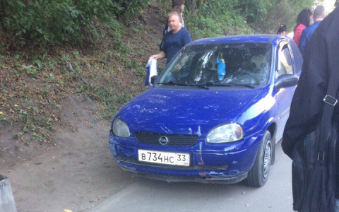 Лихая автоледи снесла металлическое ограждение и "припарковалась" на остановке в центре города