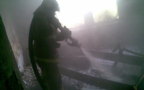 20 часов подряд  спасатели тушили огромный пожар под Владимиром