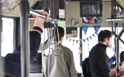 Топ-5 вещей, которые успели разозлить владимирцев в первые дни осени