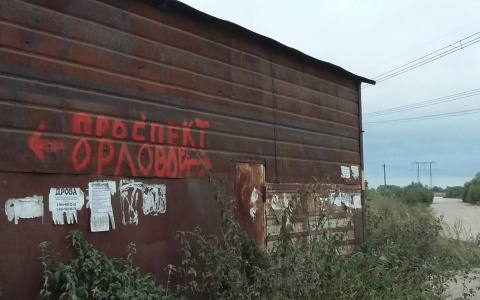 Во Владимире появился проспект имени Светланы Орловой