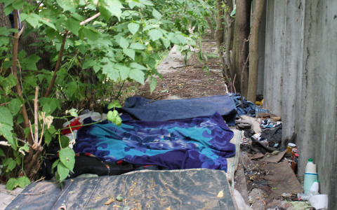 Бомжи устроили во дворе жилого дома ночлежку и водят туда "цивилизованных" гостей