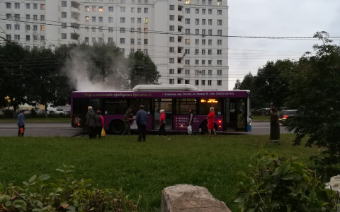 У 24-го автобуса воспламенилась крыша во время движения