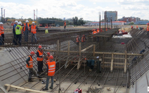 В Курганской области начали строить  современный тепличный комплекс