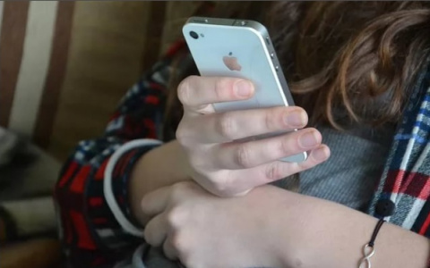 Мобильное приложение поможет узнать обо всех кружках и секциях во Владимире