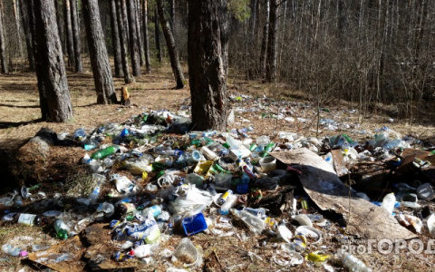 Названы 15 самых грязных городов в России