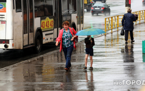 МЧС объявило экстренное предупреждение из-за усиления ветра