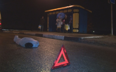 В Юрьевце на федеральной трассе сбили двух молодых мужчин