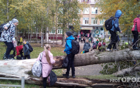 Владимирские школы, которые дурно прославились