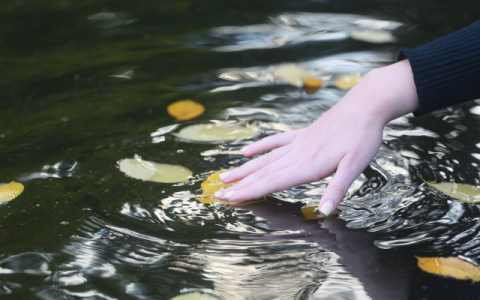 С началом новой недели во Владимире резко начнет холодать