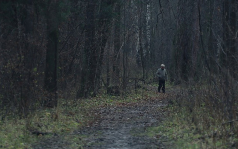 Семья из четырех человек 2 недели жила в машине в лесу под Ковровом