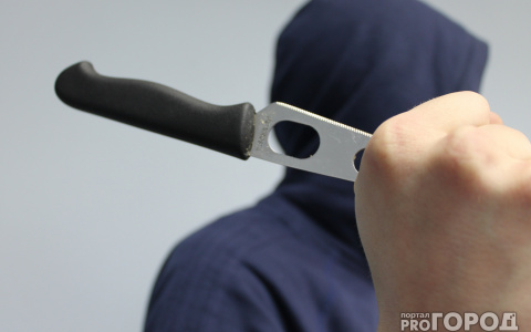 В Муроме мужчина зарезал двух женщин и попытался взорвать дом