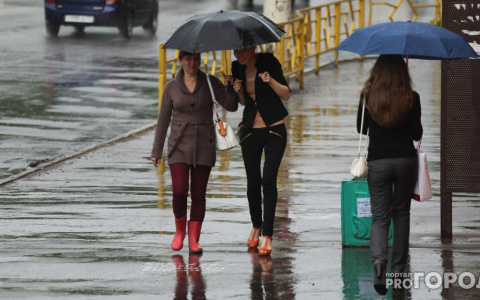 Ближайшие два дня во Владимире обещают быть пасмурными