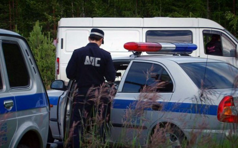 Владимирские инспекторы поймали авто с целой маковой "плантацией"