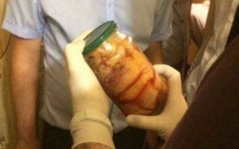 Стало известно, чье мясо хранилось в холодильнике «краснодарских каннибалов»