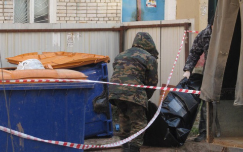 Ковровчанину, убившему жену, сына и кота, вынесли приговор