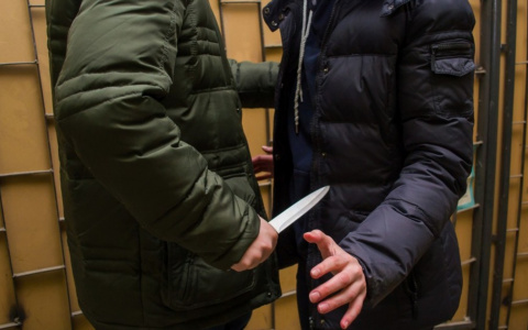 Житель Гусь-Хрустального отомстил бывшему сокамернику, убив его