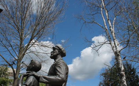 Во Владимире "по-тихому" выживают деревья с центральных улиц