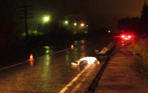 Под Муромом насмерть сбили автомобилиста, который вышел на дорогу попросить помощи