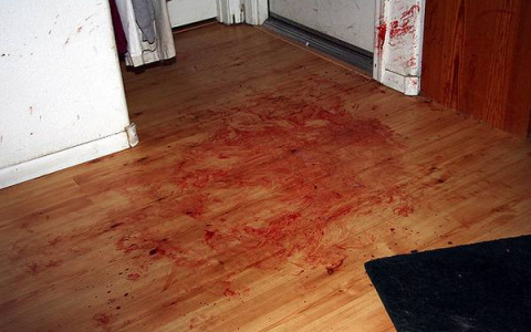 В Нижнем Новгороде пойман преступник, жестоко убивший жительницу Владимира