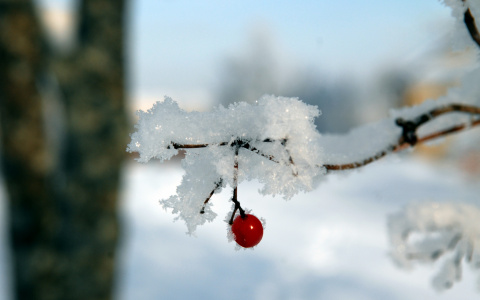 Погода на выходные: готовьте варежки и валенки