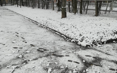 Владимирцы делятся последствиями ночного снегопада в соцсетях