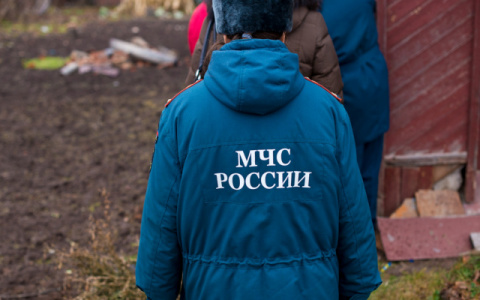 В Муроме 9-летний мальчик сбежал из дома, не получив желаемую игрушку