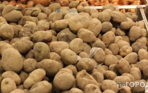 53-летний житель Мурома погиб, отправившись за картошкой