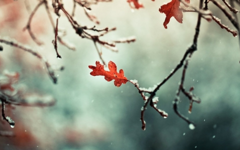 Вторая половина рабочей недели не порадует владимирцев