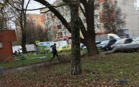 Жительницы Владимира напуганы появлением фотоманьяка