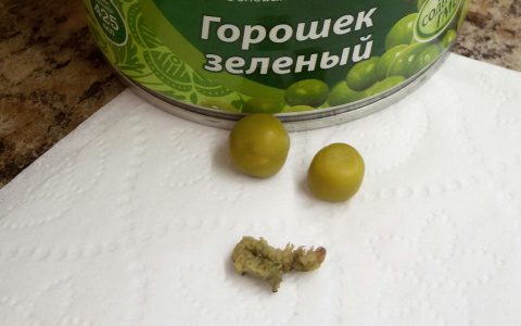 Горожанин: "Хотели приготовить салат, а тут..."