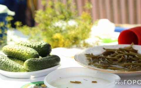 На новогодний стол владимирцев попадут огурцы, выращенные по уникальной технологии