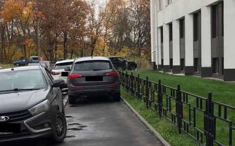 Паркуюсь, как хочу: "нарочно так не придумаешь!"