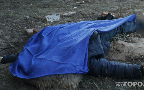 В праздники в Петушинском районе произошло жестокое убийство