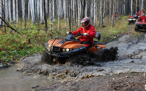 В Судогодском районе через интернет продают права на квадроцикл