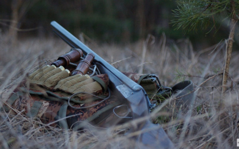 Житель Мурома убил птицу, занесенную в Красную книгу, и понесет наказание