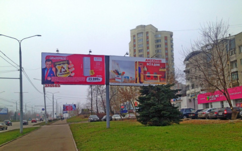 Владимирцы требуют «расправы» над рекламщиками, подпилившими ель