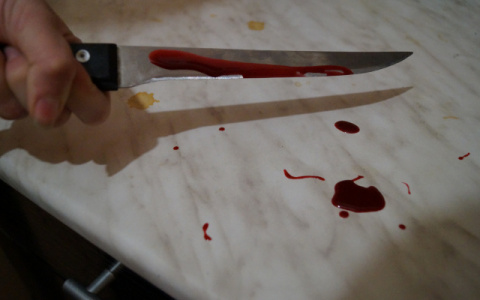 Новости России: девушка зарезала мать, 4-летнего брата и инсценировала их самоубийство из-за квартиры