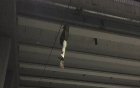 Владимирских автомобилистов не на шутку напугала находка под одним из мостов