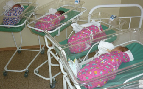 В октябре во Владимире на свет появились малыши с именами Ратибор, Лука и Ясения