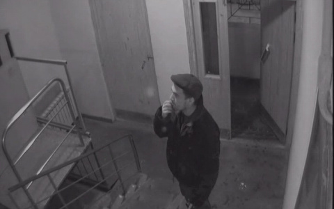 Подмосковные воришки каждый вечер наведывались в Александров за легкой добычей